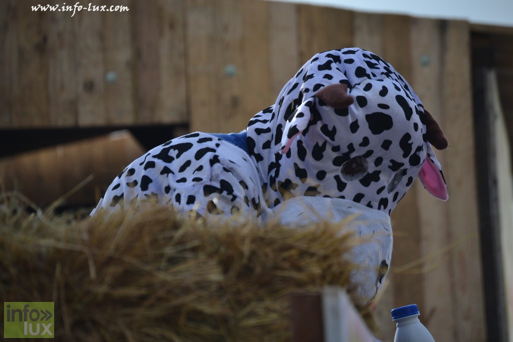 images/stories/PHOTOSREP/Martelange/Carnaval2015b/carnaval-Martelange235