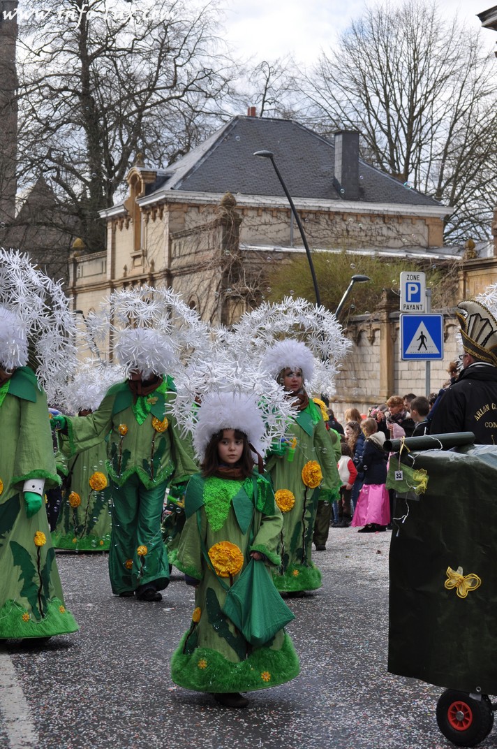 images/stories/PHOTOSREP/Arlon/carnaval2014/infolarlont00044