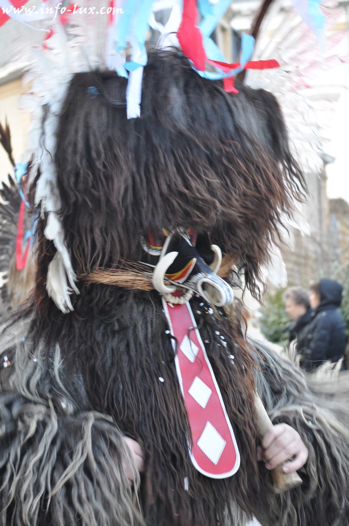 images/stories/PHOTOSREP/Arlon/carnaval2014/infolarlont00100