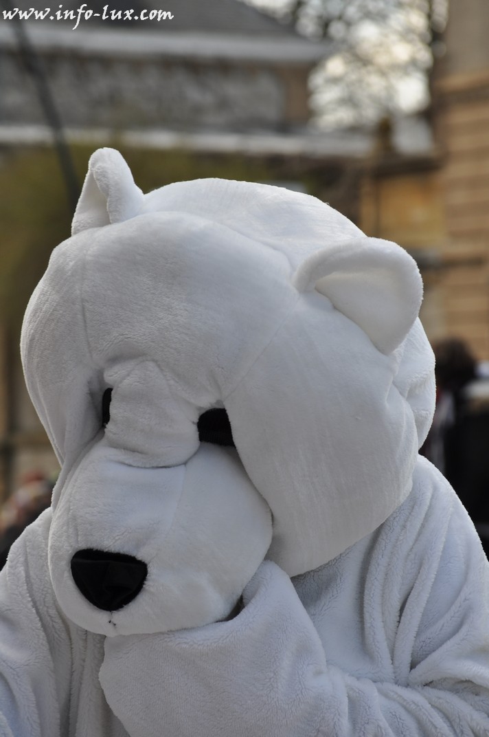 images/stories/PHOTOSREP/Arlon/carnaval2014/infolarlont00119