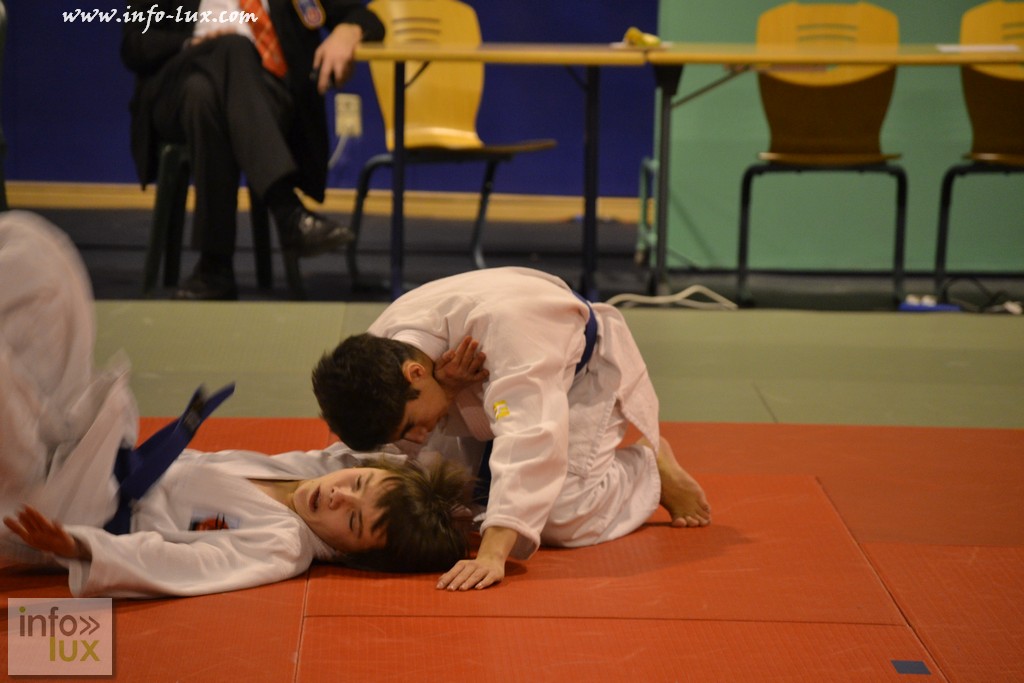 images/PORTRAITS/Arlon/judoshow/infolux-judot067