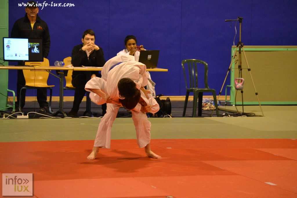 images/PORTRAITS/Arlon/judoshow/infolux-judot074