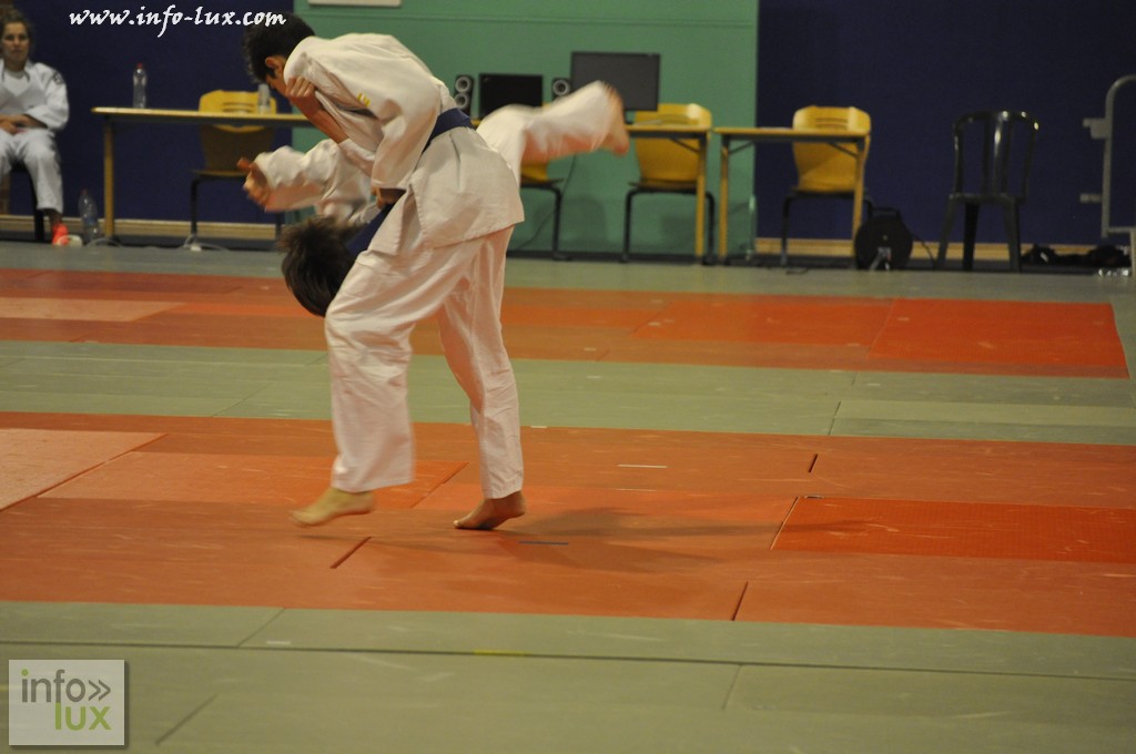 images/PORTRAITS/Arlon/judoshow/infolux-judot115