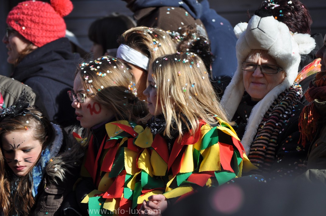 images/stories/PHOTOSREP/Bastogne/carnaval2014/infoluxbastogne130