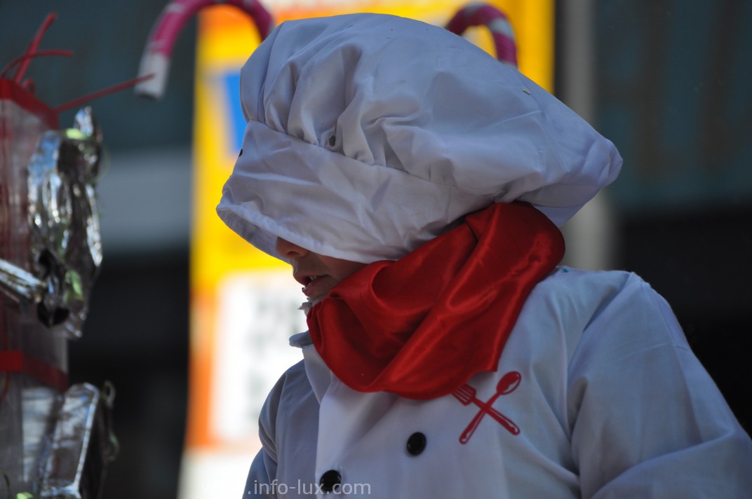 images/stories/PHOTOSREP/Bastogne/carnaval2014/infoluxbastogne180