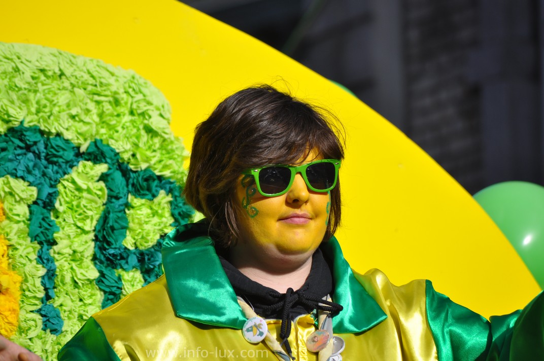 images/stories/PHOTOSREP/Bastogne/carnaval2014/infoluxbastogne183
