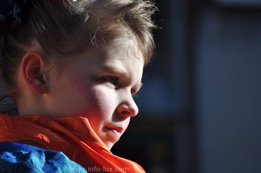 images/stories/PHOTOSREP/Bastogne/carnaval2014/infoluxbastogne186