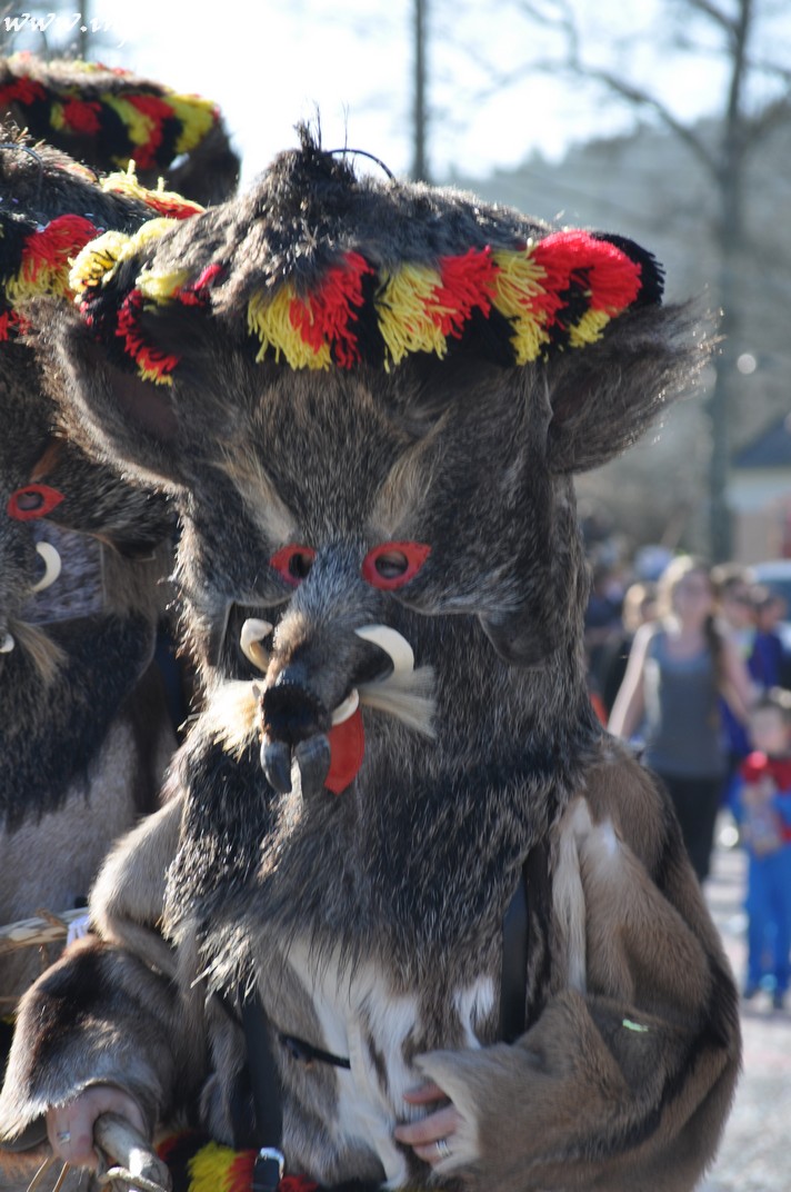 images/stories/PHOTOSREP/Martelange/carnalval2014/infoluxmart00178