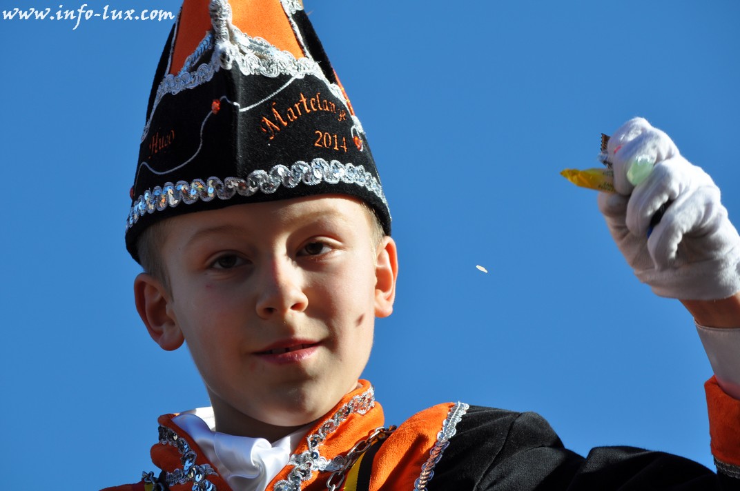 images/stories/PHOTOSREP/Martelange/carnalval2014/infoluxmart00206