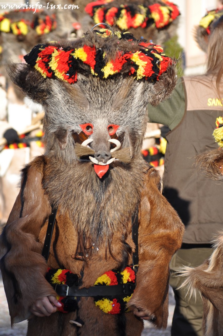 images/stories/PHOTOSREP/Martelange/carnalval2014/infoluxmart00283