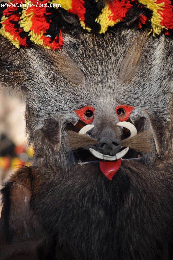 images/stories/PHOTOSREP/Martelange/carnalval2014/infoluxmart00284