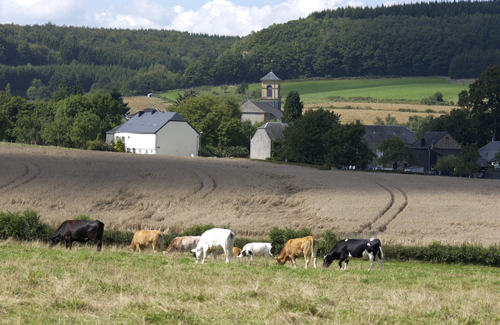 Balade Nobressart 2