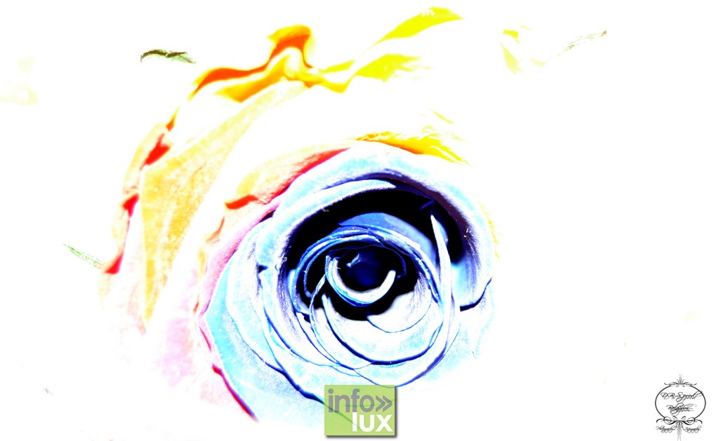 images/PORTRAITS/Martelange/DBS/DBS00048