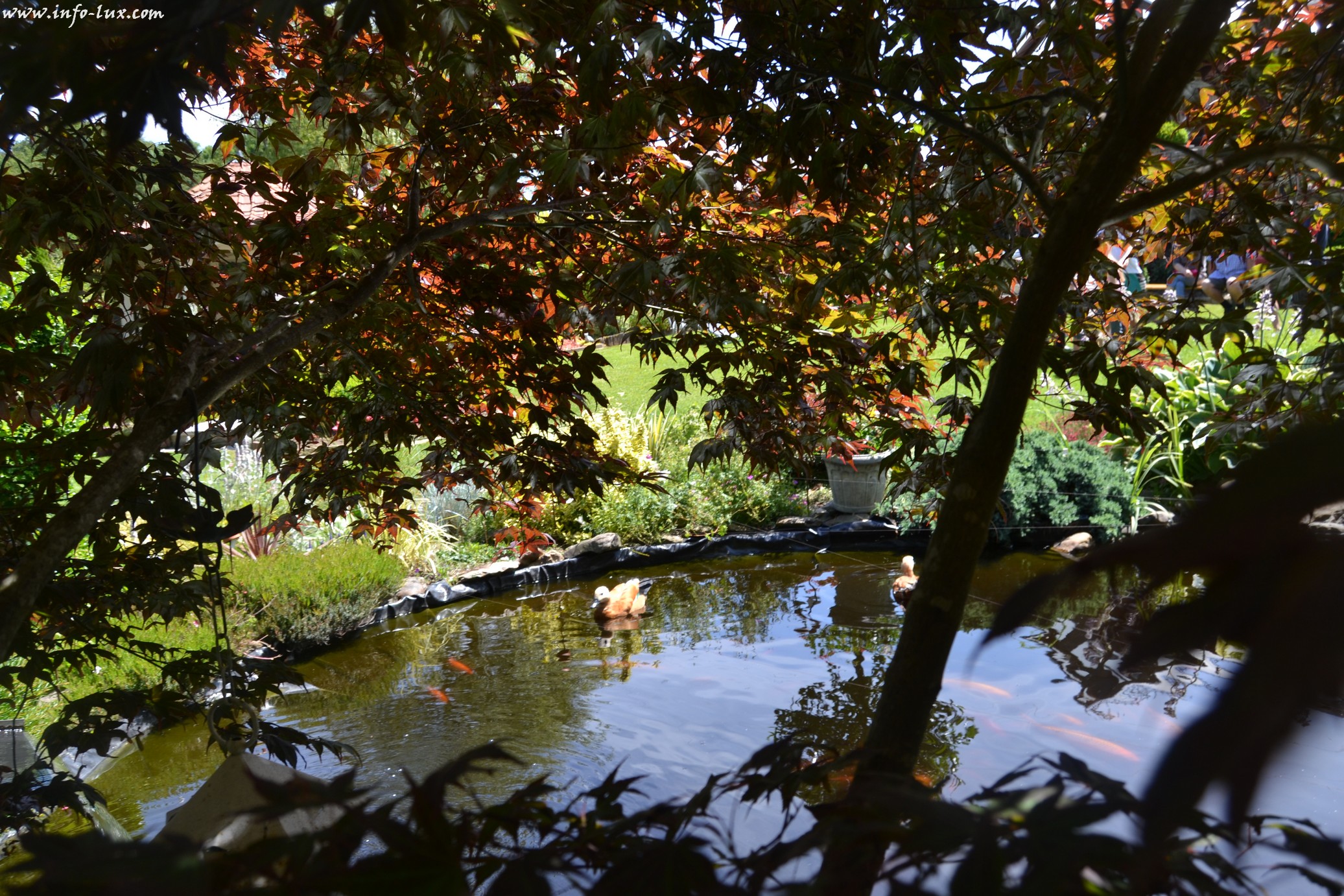 images/stories/PHOTOSREP/neufchateau/jardin1/Jardinen0009