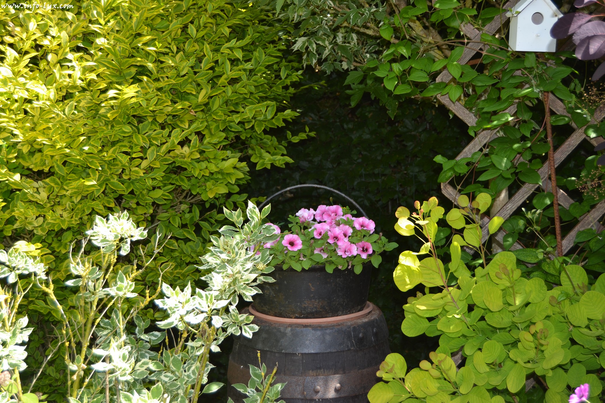 images/stories/PHOTOSREP/neufchateau/jardin1/Jardinen0032