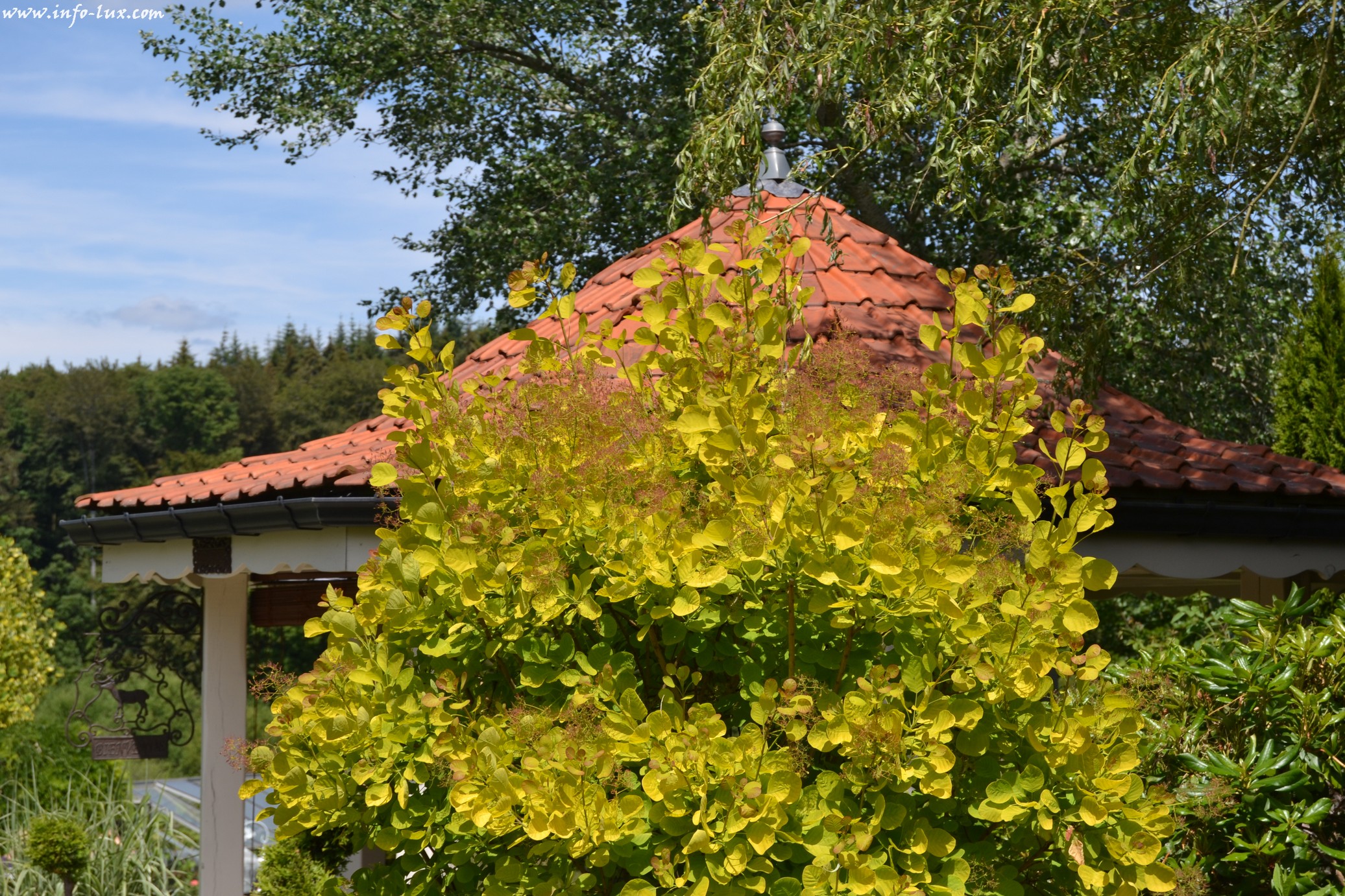 images/stories/PHOTOSREP/neufchateau/jardin1/Jardinen0038