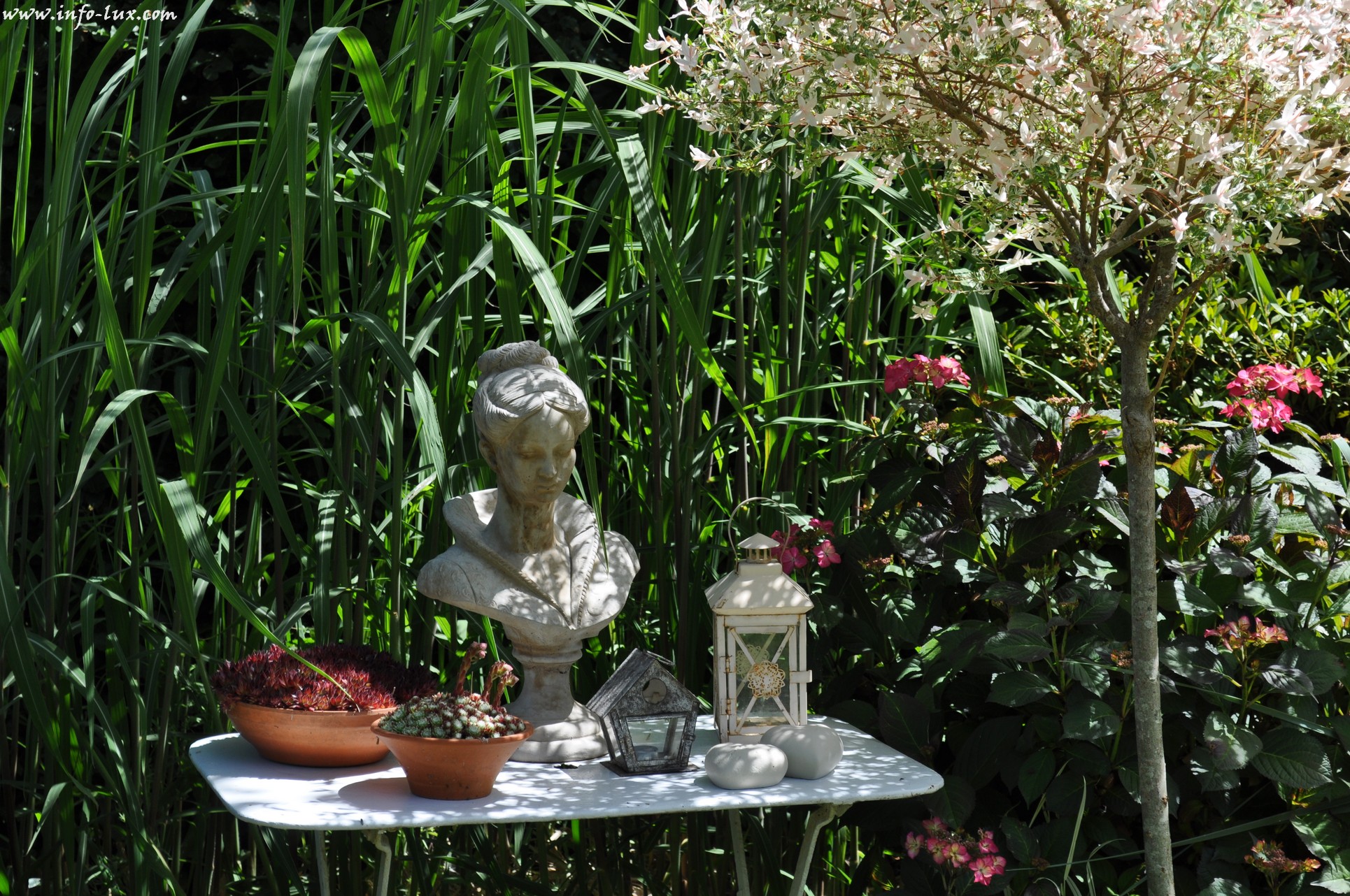 images/stories/PHOTOSREP/neufchateau/jardin1/Jardinen0060