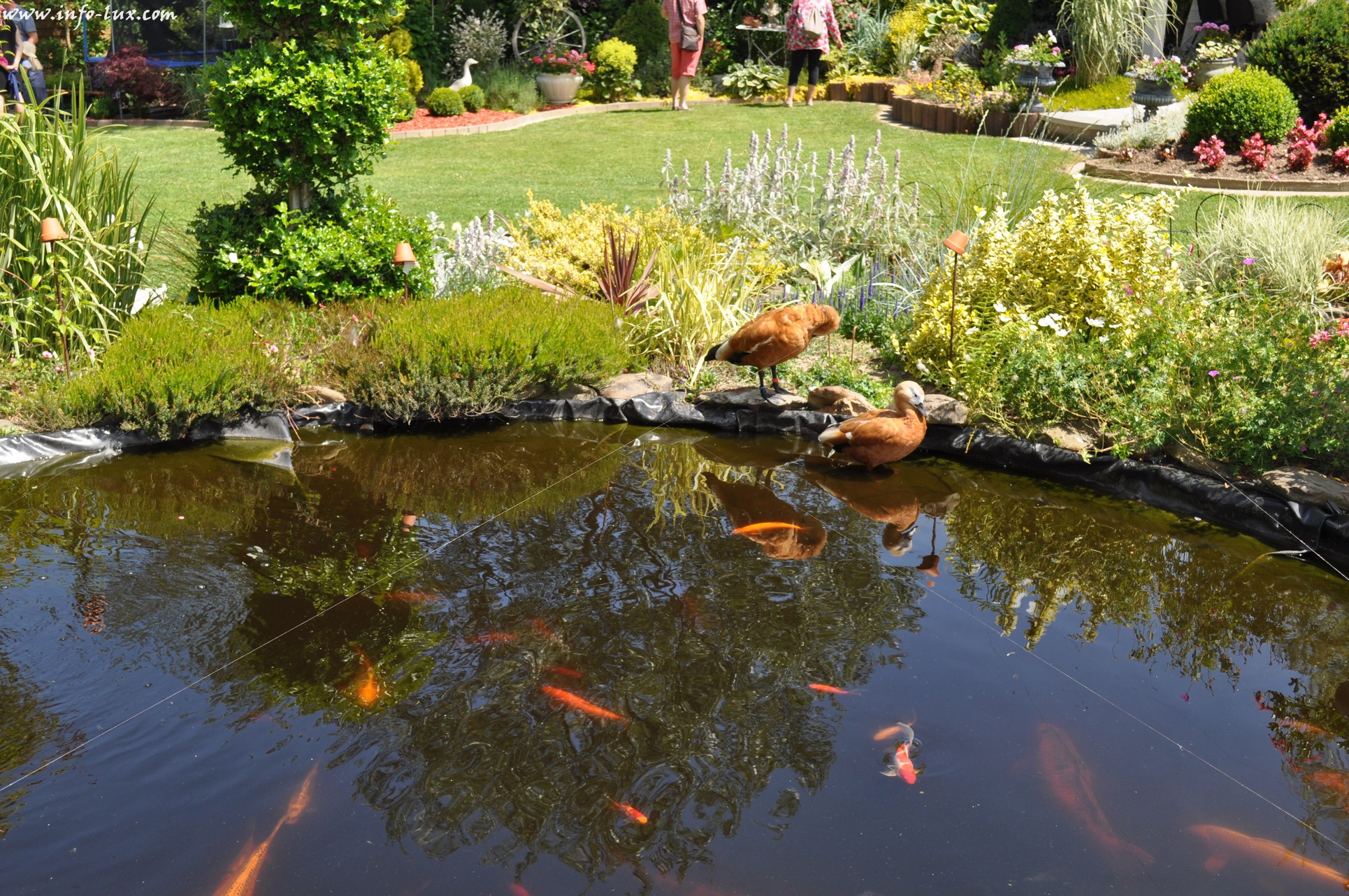 images/stories/PHOTOSREP/neufchateau/jardin1/Jardinen0070