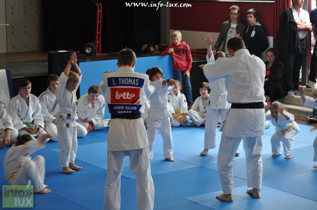 images/stories/PHOTOSREP/Habay/judo2015/Judo-habay026