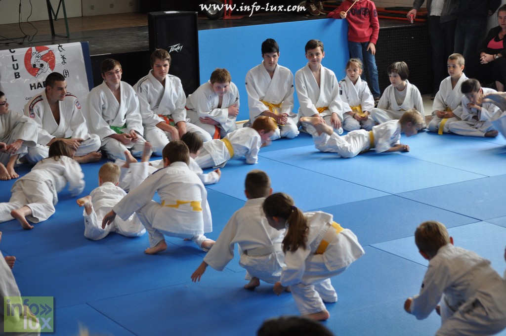 images/stories/PHOTOSREP/Habay/judo2015/Judo-habay033