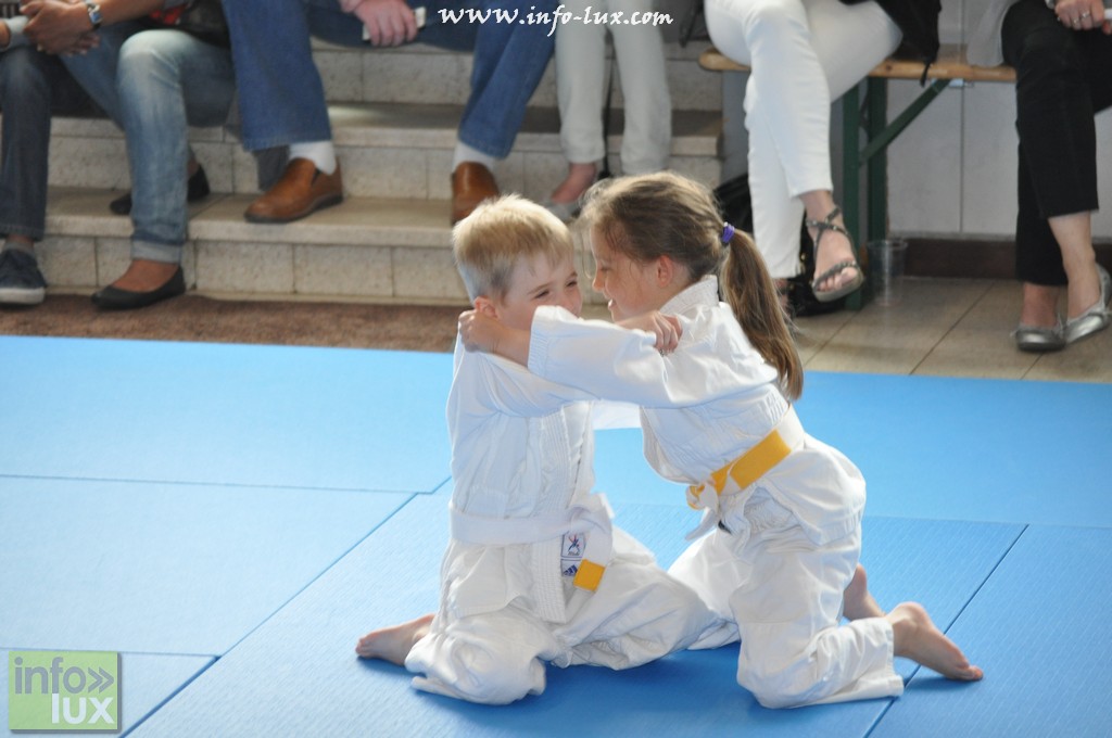 images/stories/PHOTOSREP/Habay/judo2015/Judo-habay049