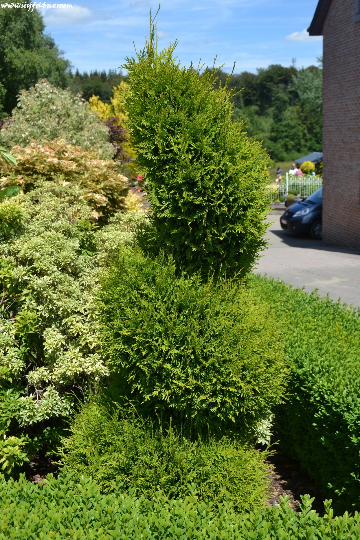 images/stories/PHOTOSREP/neufchateau/jardin1/aJardinen0001