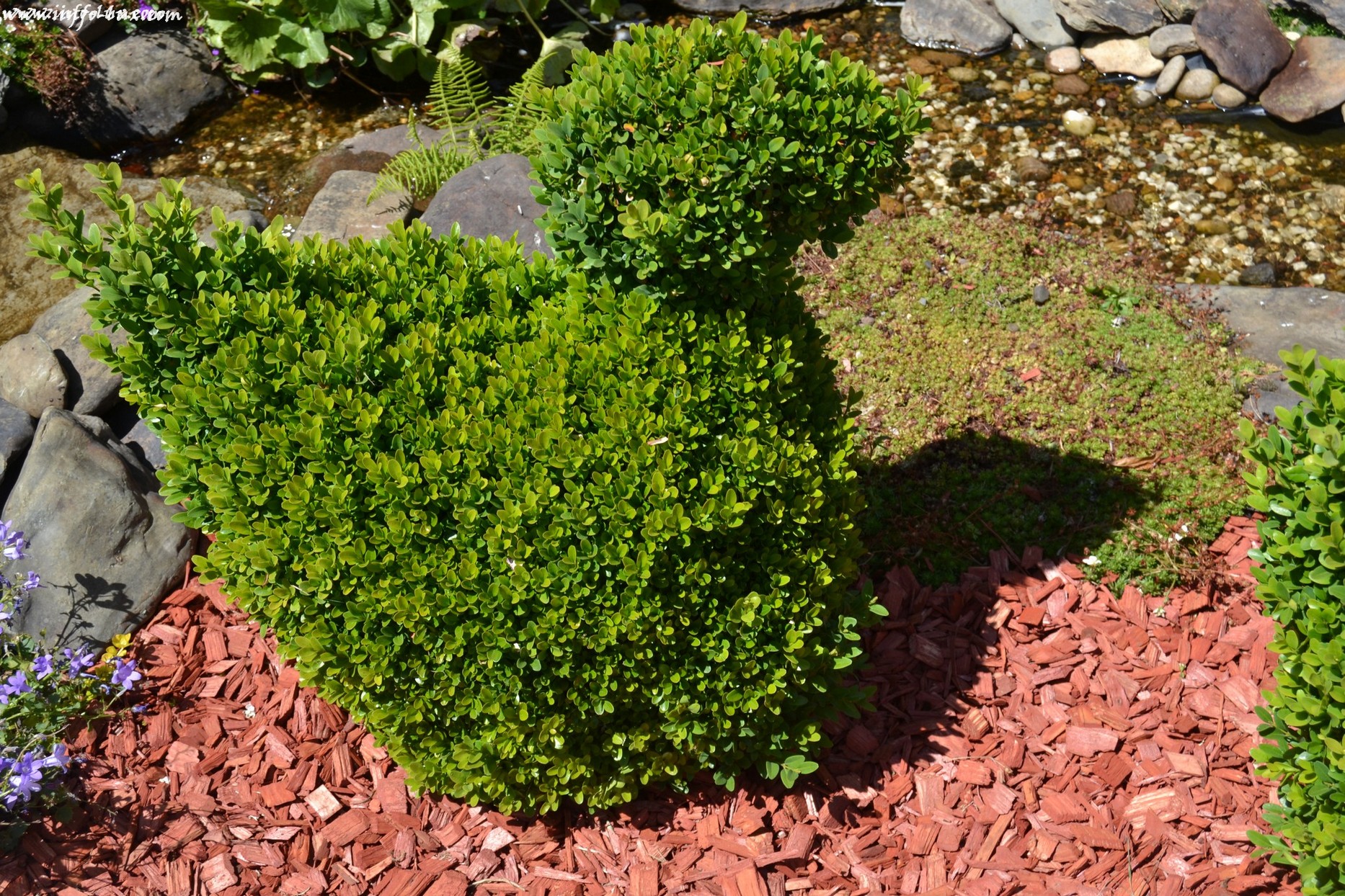 images/stories/PHOTOSREP/neufchateau/jardin1/aJardinen0003