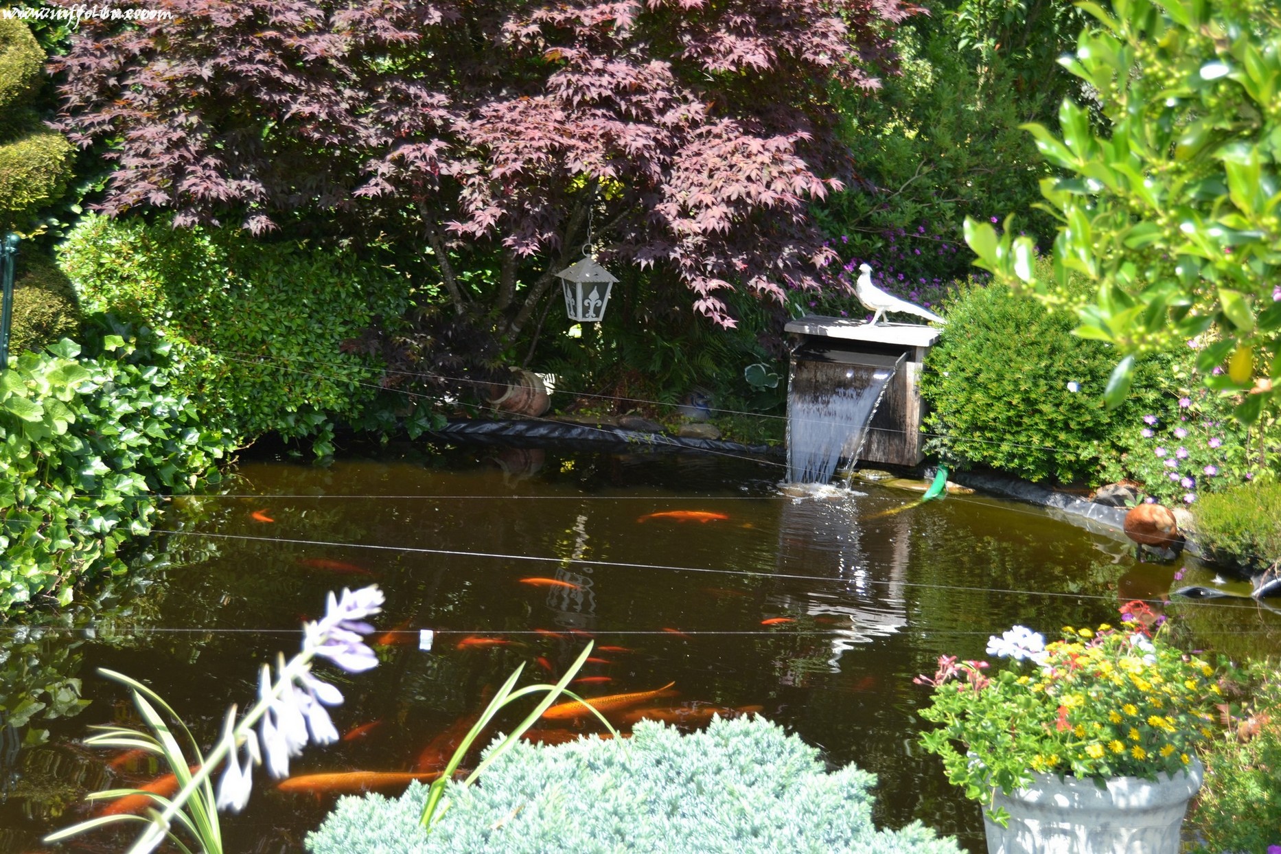 images/stories/PHOTOSREP/neufchateau/jardin1/aJardinen0004
