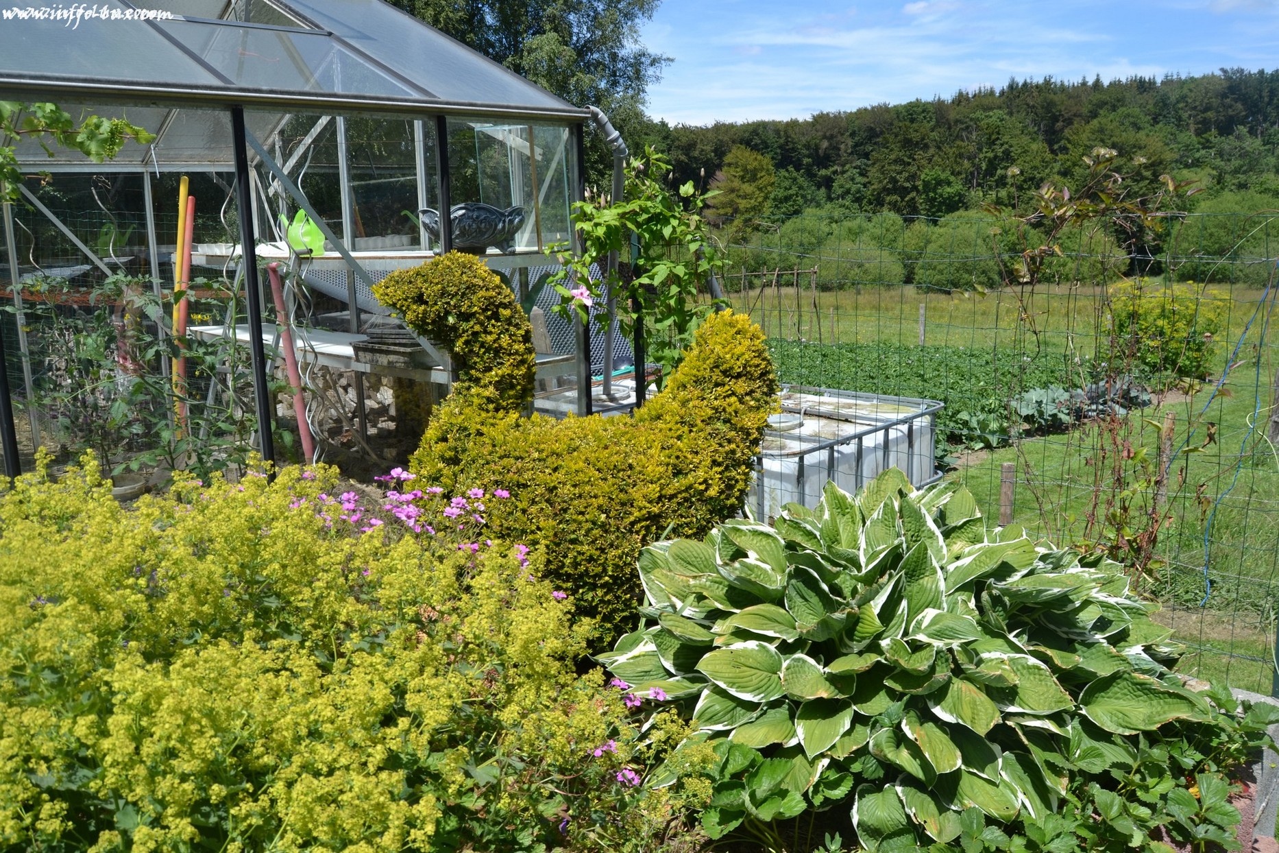 images/stories/PHOTOSREP/neufchateau/jardin1/aJardinen0012
