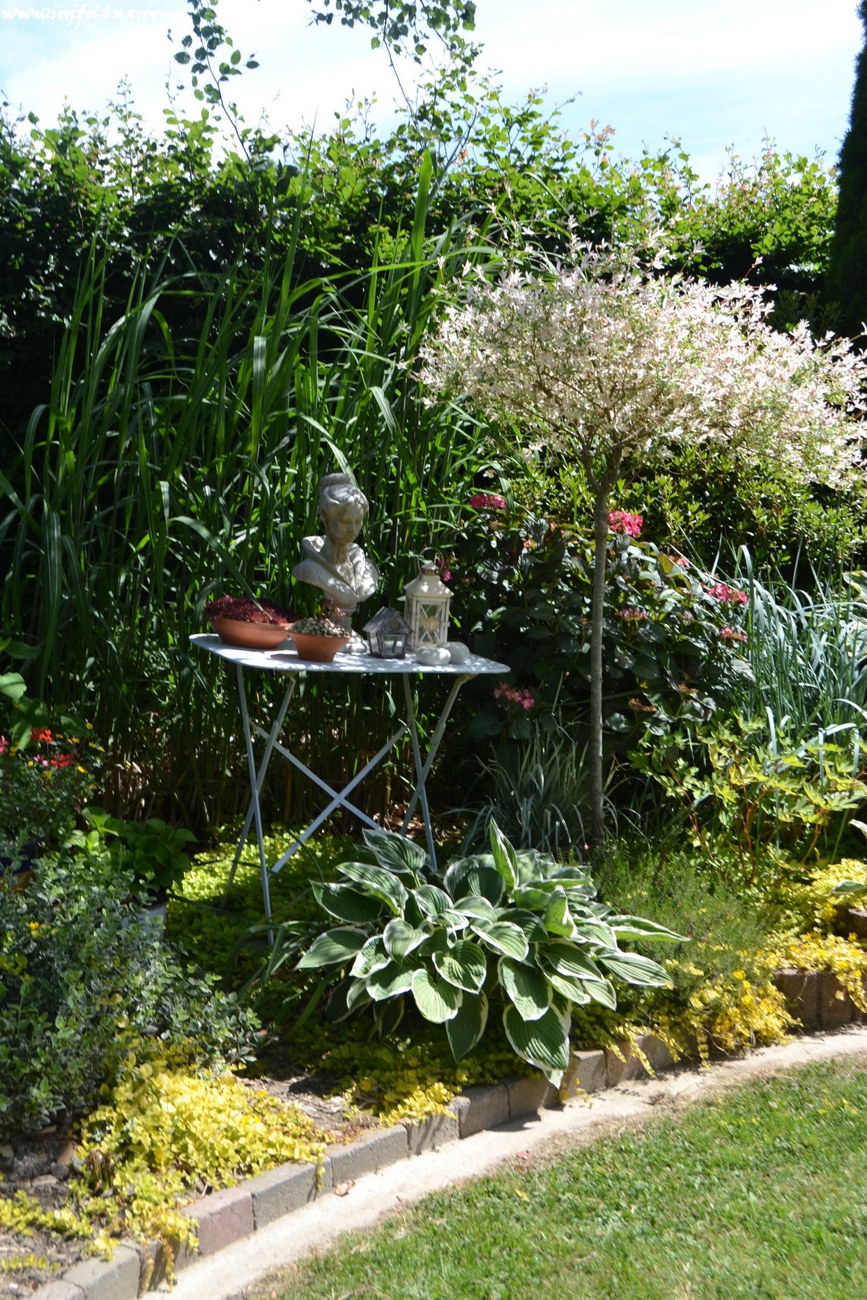 images/stories/PHOTOSREP/neufchateau/jardin1/aJardinen0013
