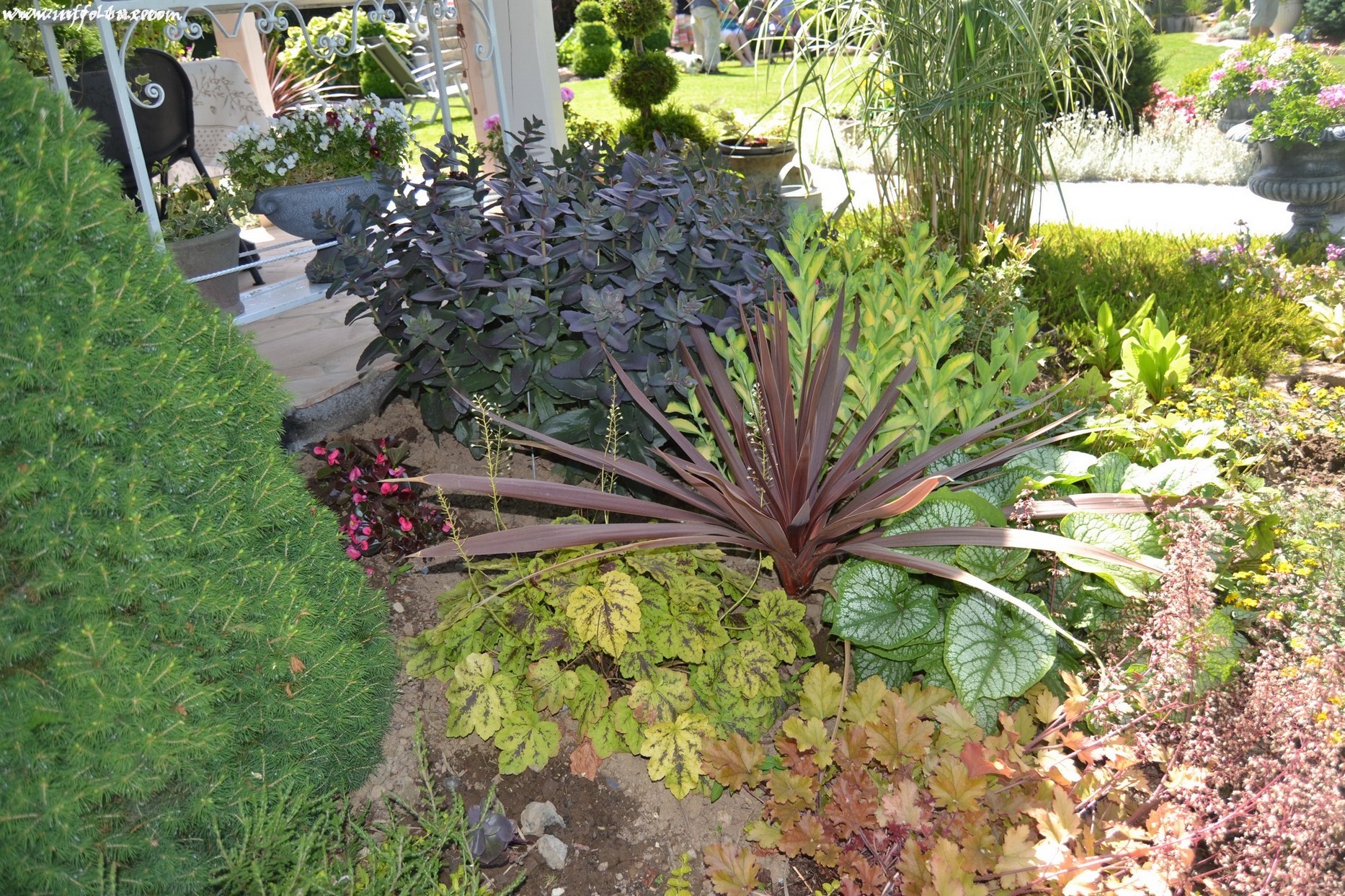 images/stories/PHOTOSREP/neufchateau/jardin1/aJardinen0014