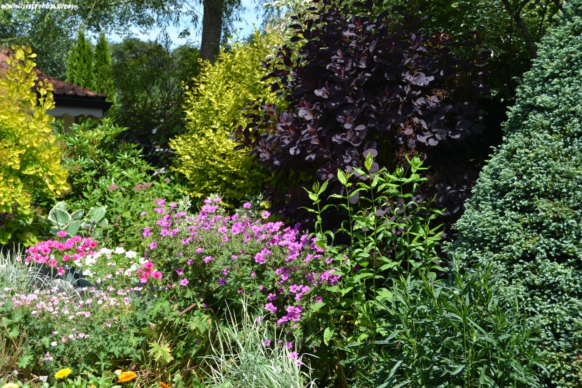 images/stories/PHOTOSREP/neufchateau/jardin1/aJardinen0017