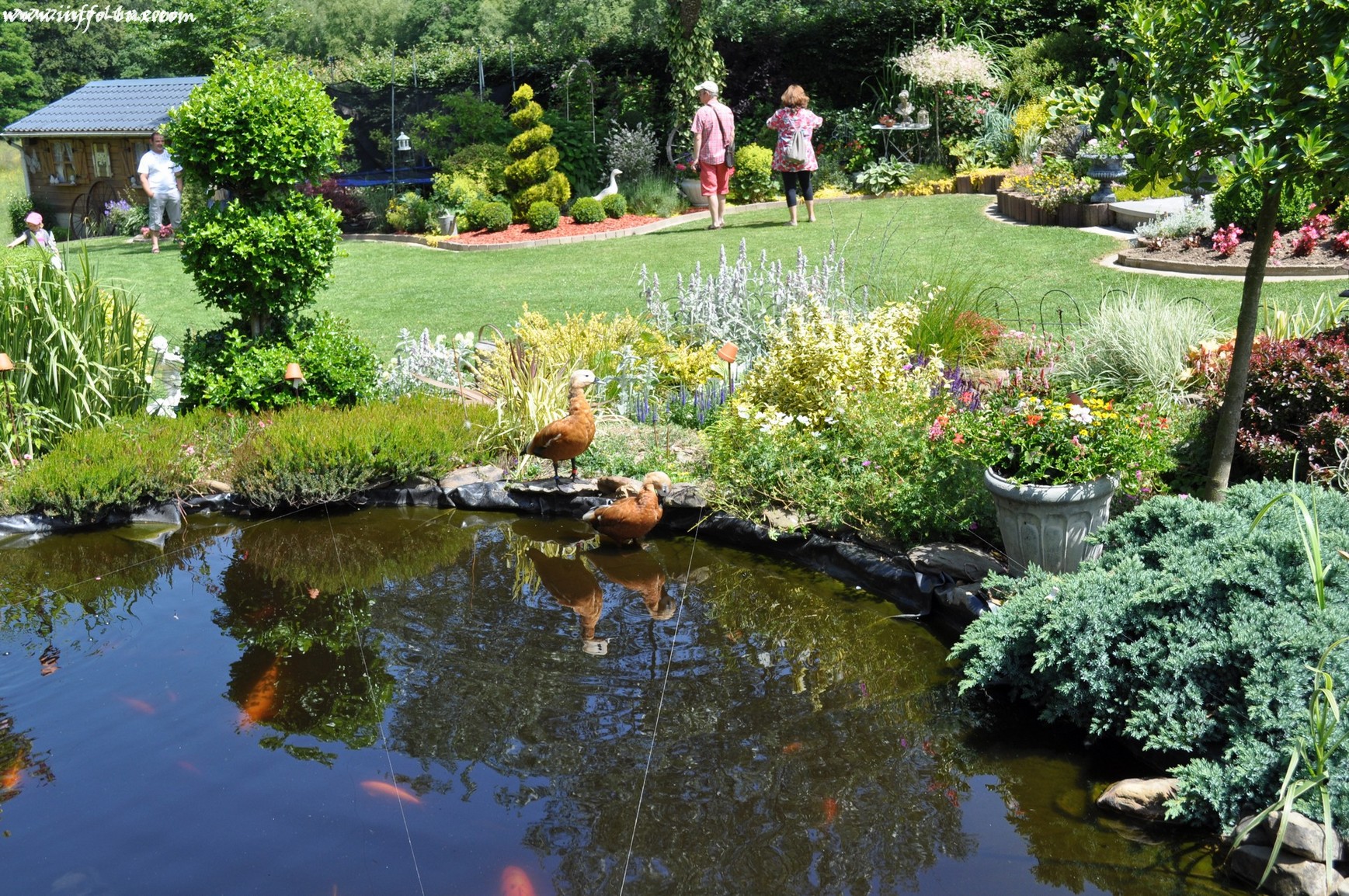 images/stories/PHOTOSREP/neufchateau/jardin1/aJardinen0035