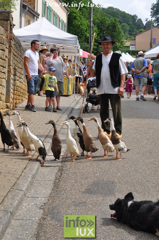 images/stories/PHOTOSREP/Rouvroy/Torgny095