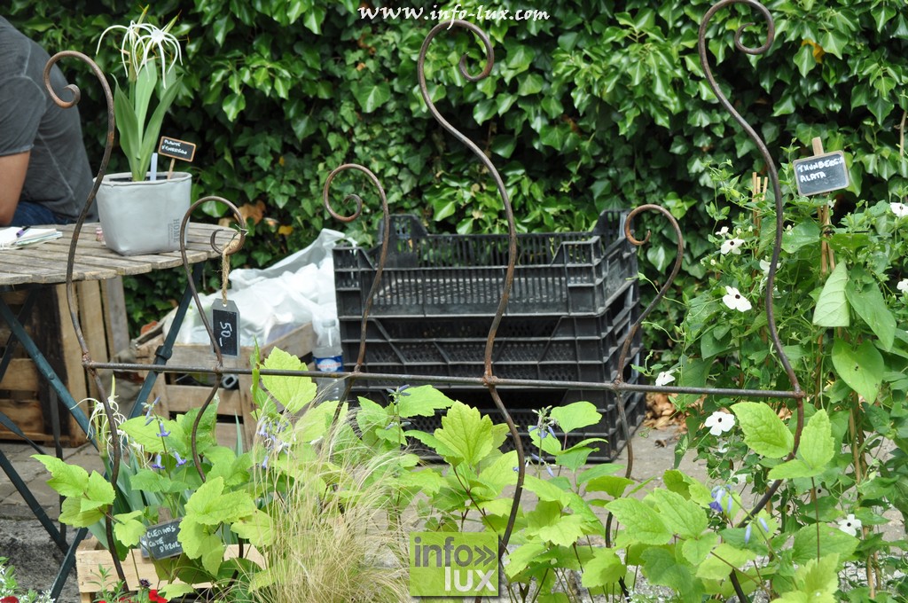images/stories/PHOTOSREP/Rouvroy/Torgny119