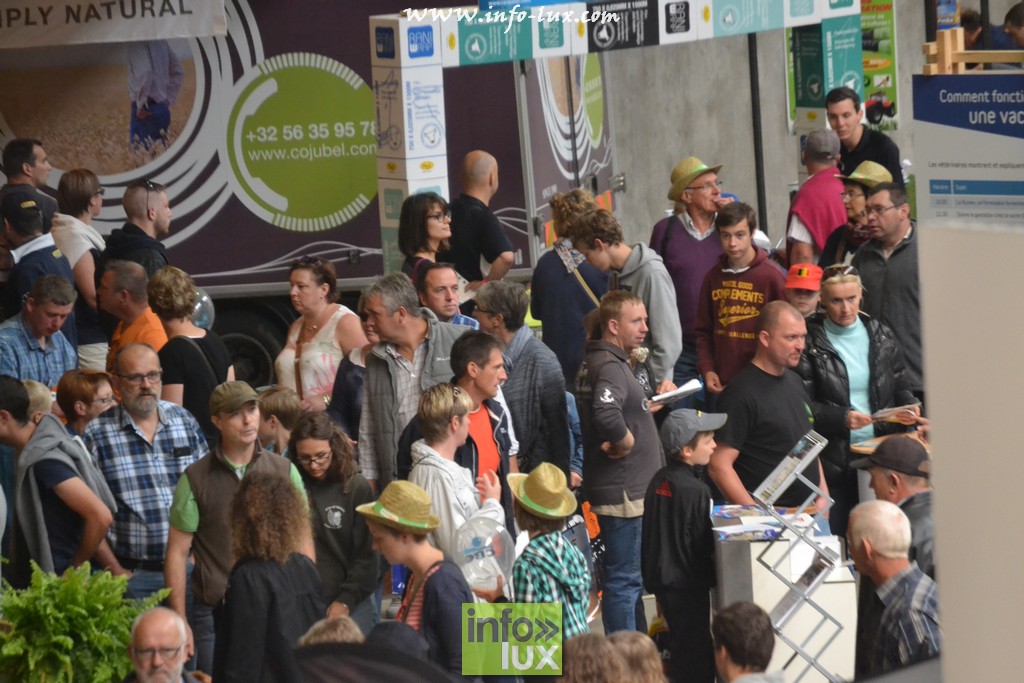 images/stories/PHOTOSREP/Libramont-Chevigny/Foire-libramont2/foirelibramont033