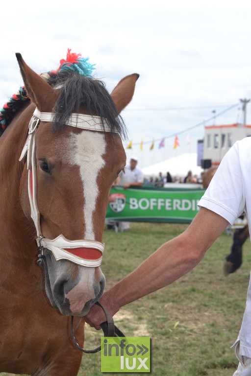 images/stories/PHOTOSREP/Libramont-Chevigny/Foire-libramont2/foirelibramont055