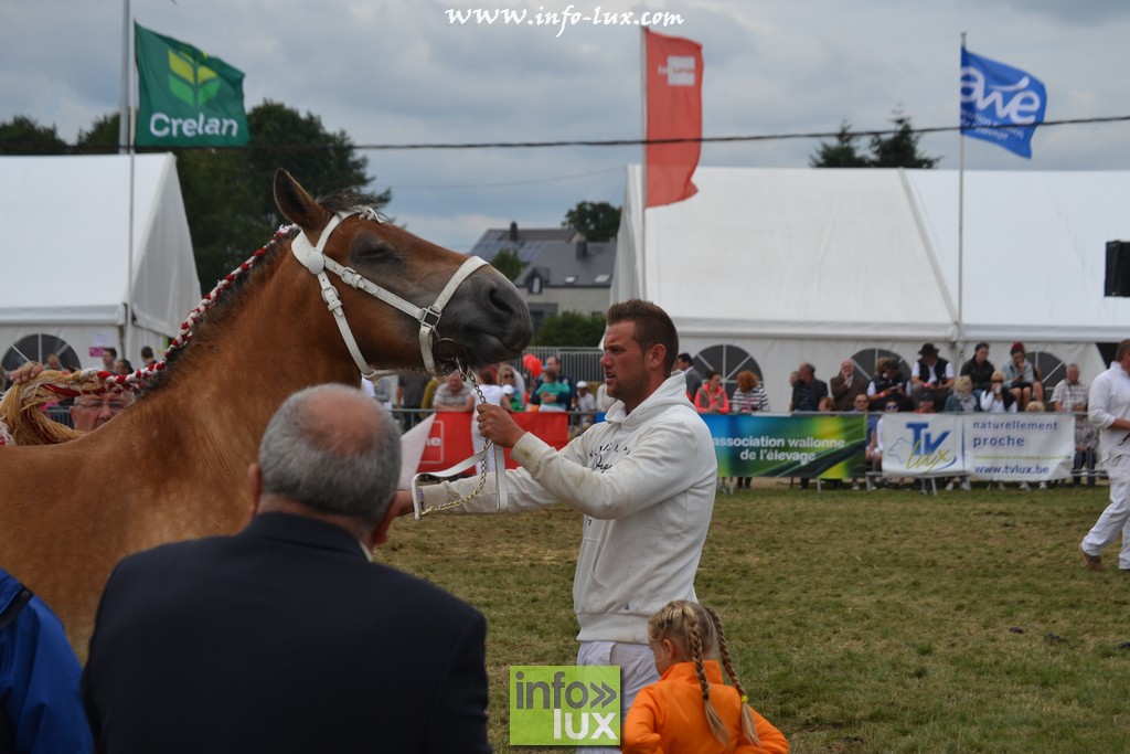 images/stories/PHOTOSREP/Libramont-Chevigny/Foire-libramont2/foirelibramont059