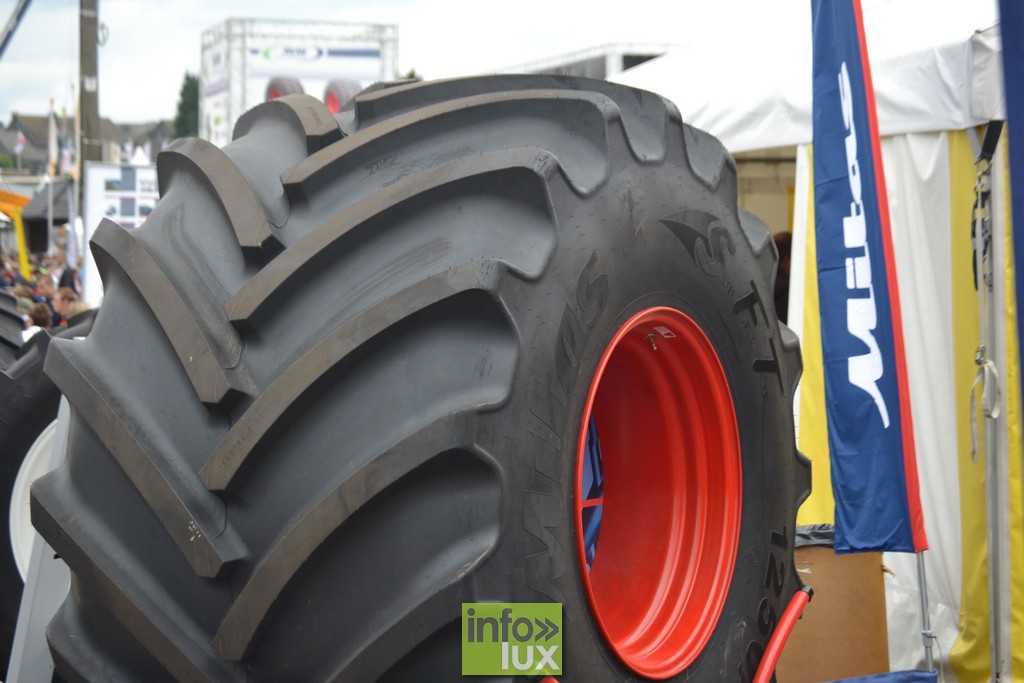 images/stories/PHOTOSREP/Libramont-Chevigny/Foire-libramont2/foirelibramont247