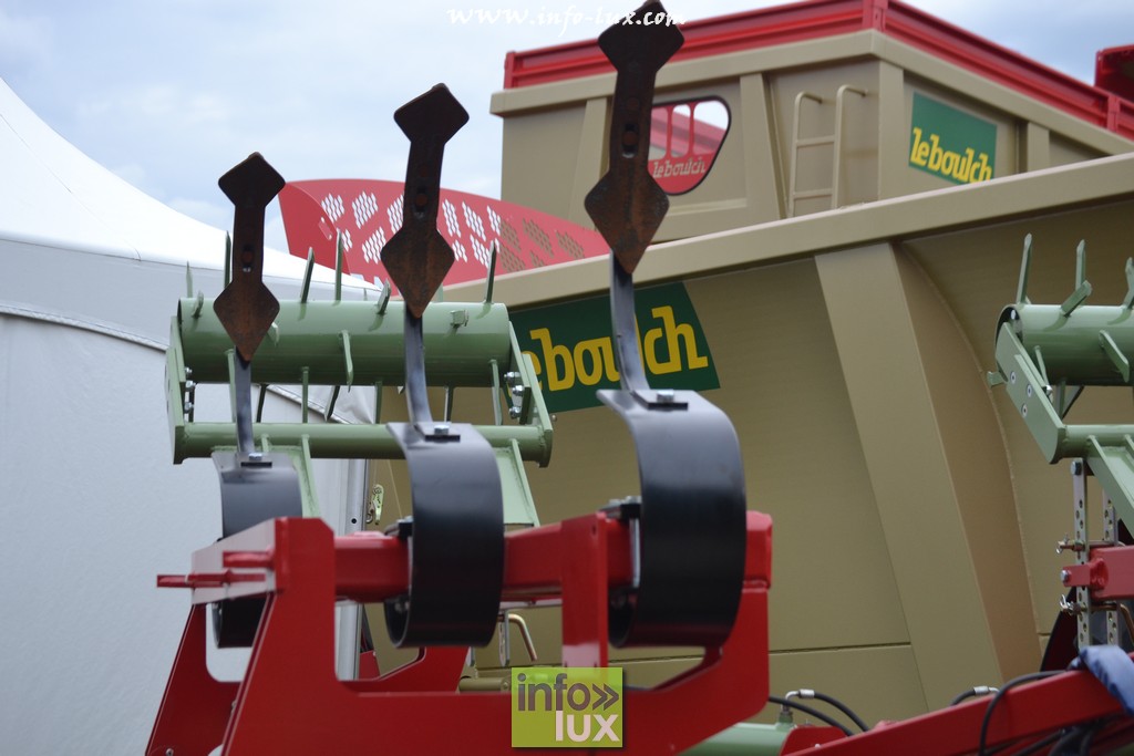 images/stories/PHOTOSREP/Libramont-Chevigny/Foire-libramont2/foirelibramont321