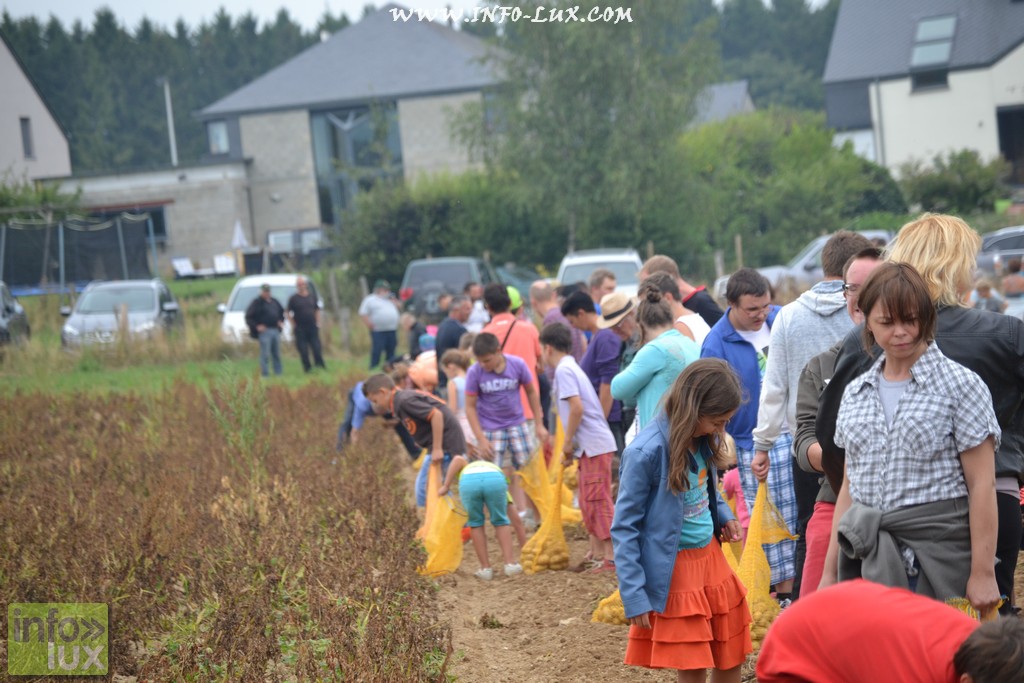 images/stories/PHOTOSREP/neufchateau/Marbay2/Marbay00033