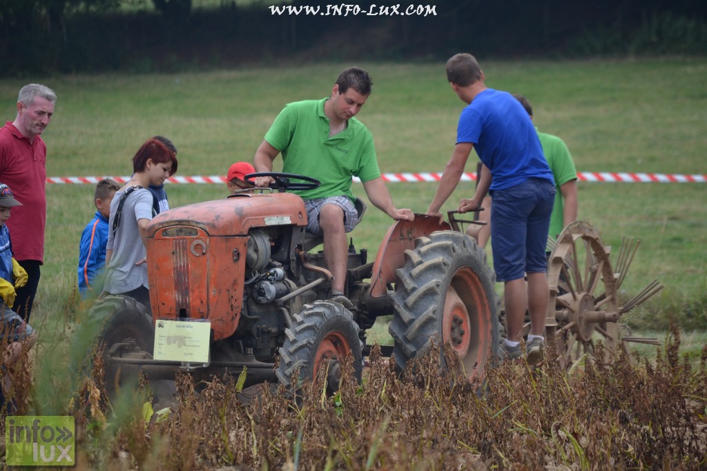 images/stories/PHOTOSREP/neufchateau/Marbay2/Marbay00037