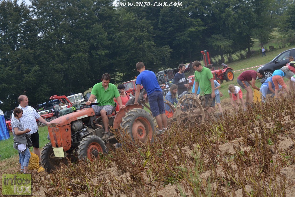 images/stories/PHOTOSREP/neufchateau/Marbay2/Marbay00044