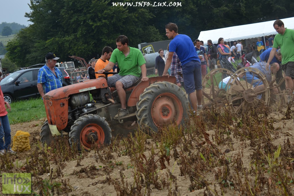 images/stories/PHOTOSREP/neufchateau/Marbay2/Marbay00049