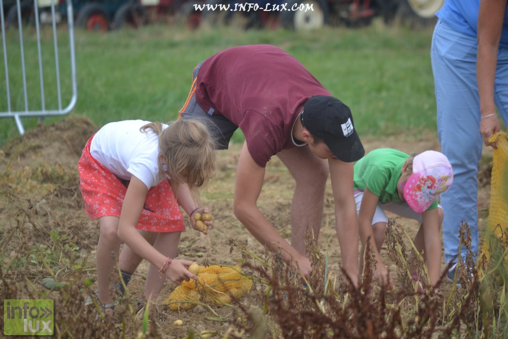 images/stories/PHOTOSREP/neufchateau/Marbay2/Marbay00079