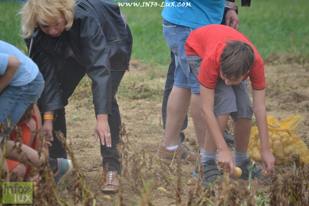 images/stories/PHOTOSREP/neufchateau/Marbay2/Marbay00080