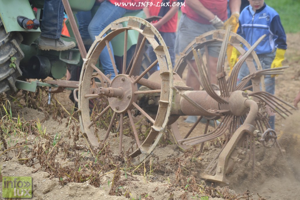 images/stories/PHOTOSREP/neufchateau/Marbay2/Marbay00095