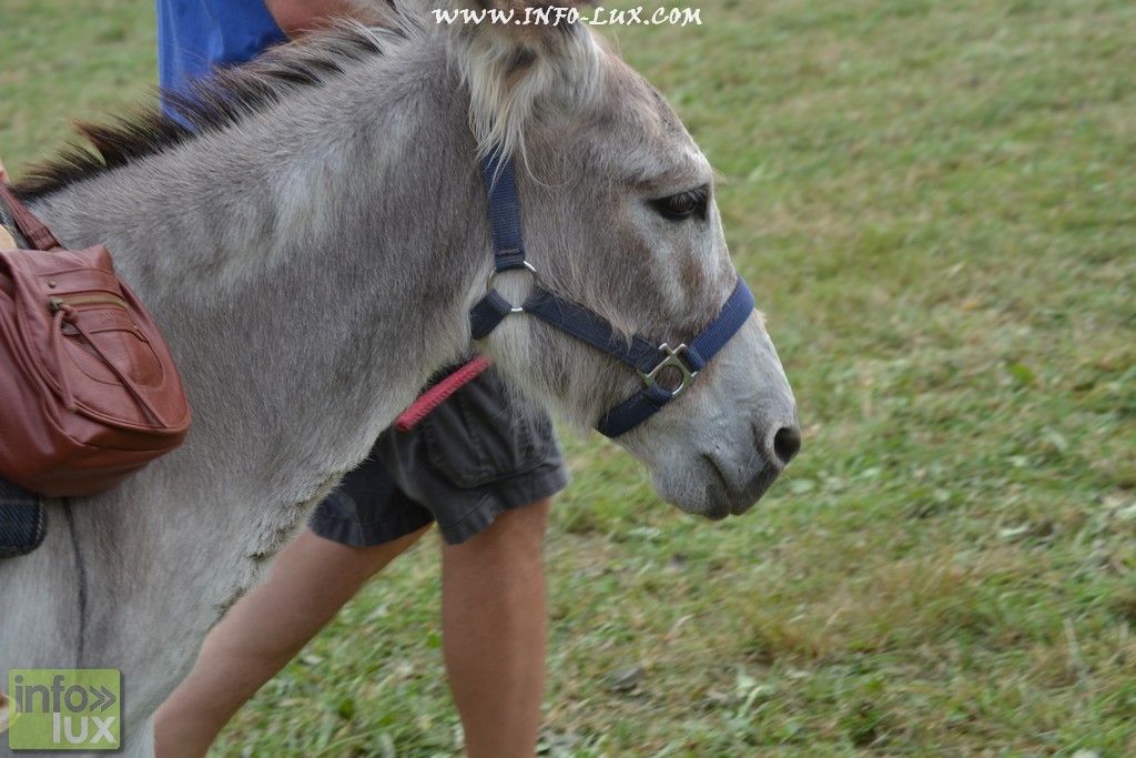 images/stories/PHOTOSREP/neufchateau/Marbay2/Marbay00161