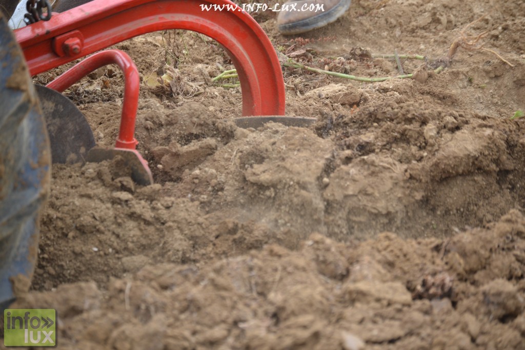 images/stories/PHOTOSREP/neufchateau/Marbay2/Marbay00177