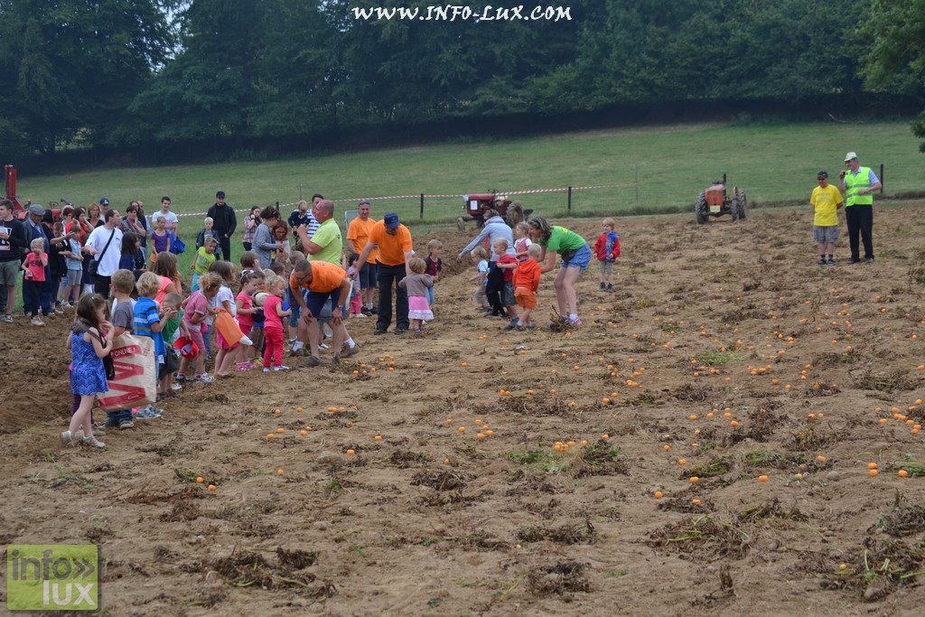 images/stories/PHOTOSREP/neufchateau/Marbay2/Marbay00183
